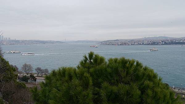 P1050262