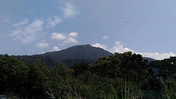 P_20160306_113853.jpg