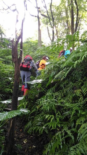P_20160528_072404.jpg