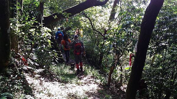 P_20160528_075626.jpg