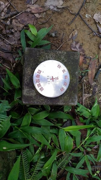 P_20160528_091526.jpg