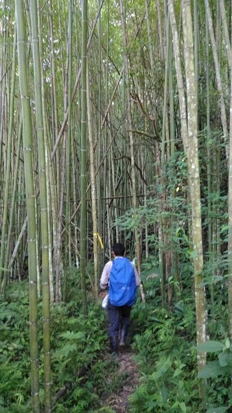 P_20160604_080941.jpg
