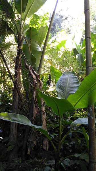 P_20160604_080905.jpg