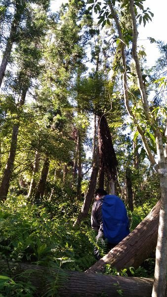 P_20160604_082237.jpg