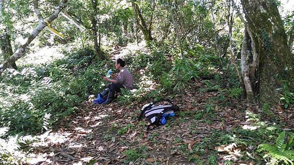 P_20160604_092529.jpg