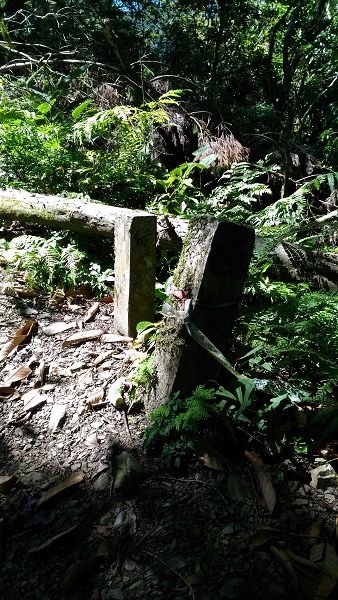 P_20160604_093903.jpg