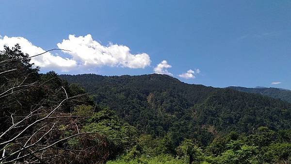 P_20160604_095857.jpg