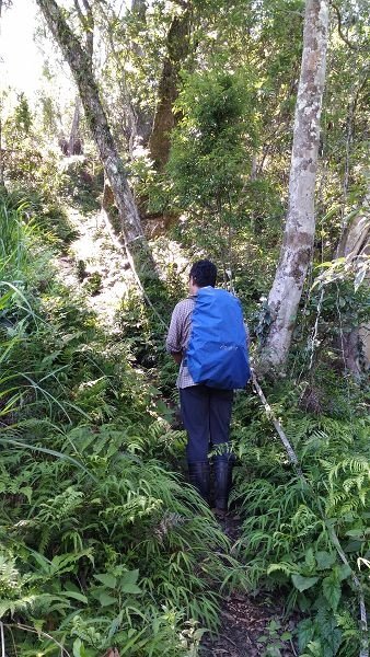 P_20160604_094115.jpg