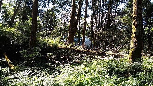 P_20160604_095516.jpg