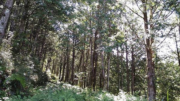 P_20160604_101036.jpg