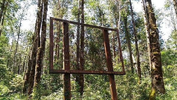 P_20160604_104338.jpg