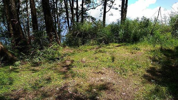 P_20160604_111622.jpg