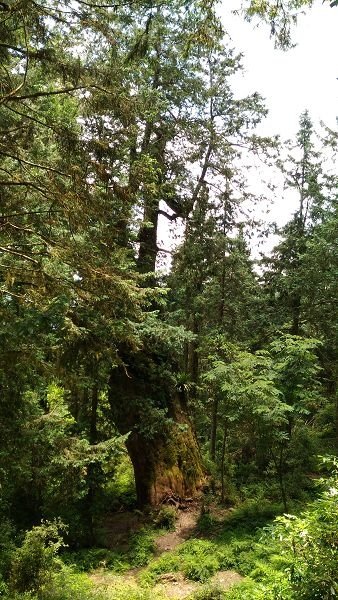 P_20160604_112549.jpg