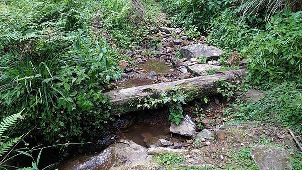 P_20160604_111325.jpg