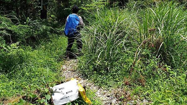 P_20160604_120829.jpg