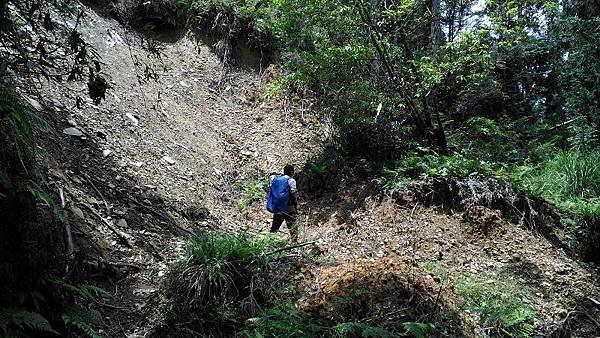 P_20160604_113153.jpg