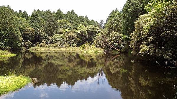 P_20160604_115039.jpg