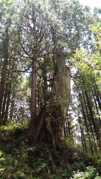 P_20160604_120623.jpg
