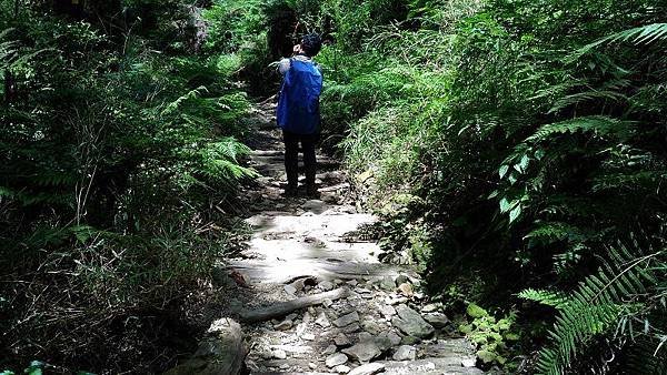 P_20160604_121410.jpg