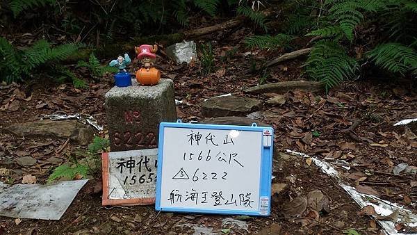 P_20160604_123040.jpg