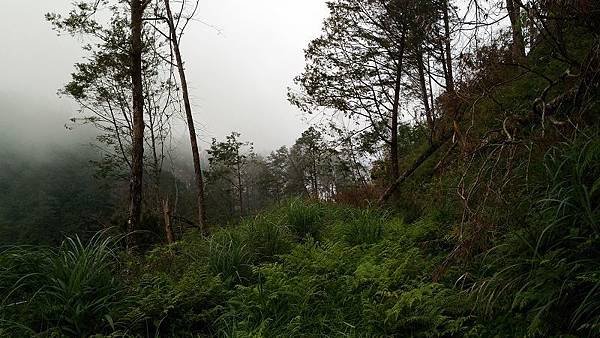 P_20160604_135627.jpg