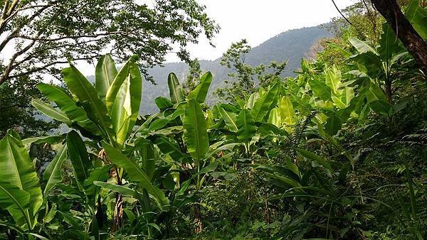 P_20160604_143532.jpg