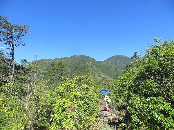 IMG_9388.jpg