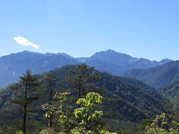 IMG_9389.jpg