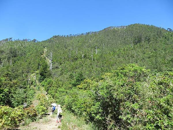 IMG_9400.jpg