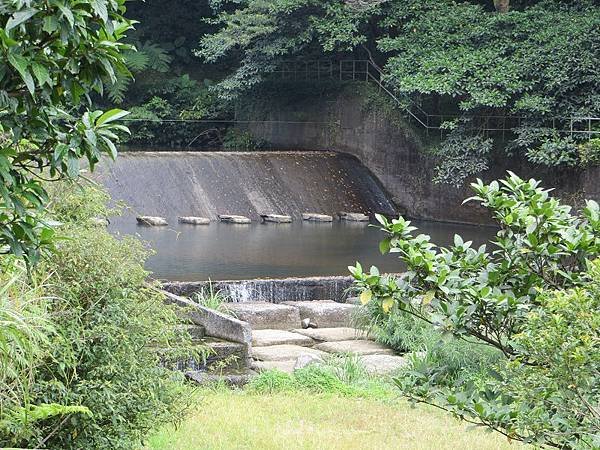 IMG_0323.jpg