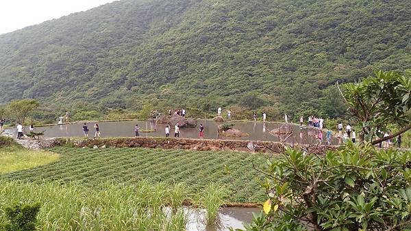 P_20160806_153539.jpg