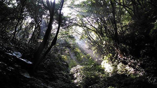 P_20160827_082822.jpg