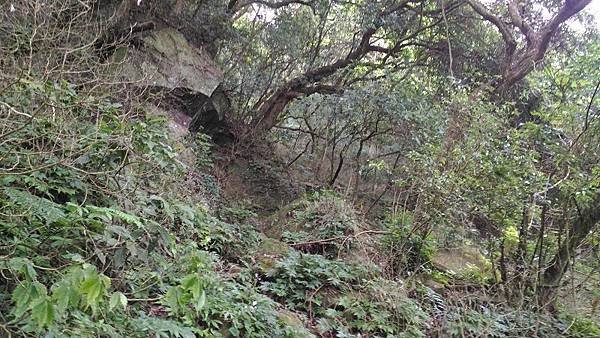 P_20160827_091252.jpg