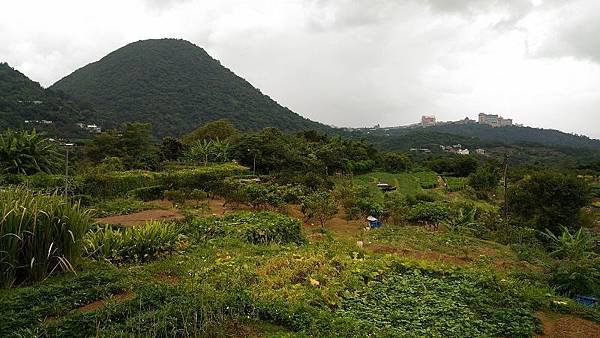 P_20160827_111735.jpg