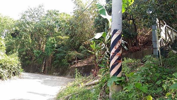 P_20161016_110846.jpg