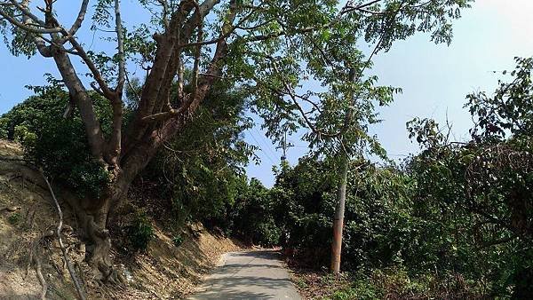 P_20161016_111152.jpg