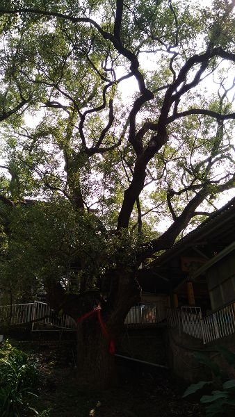 P_20161016_110637.jpg