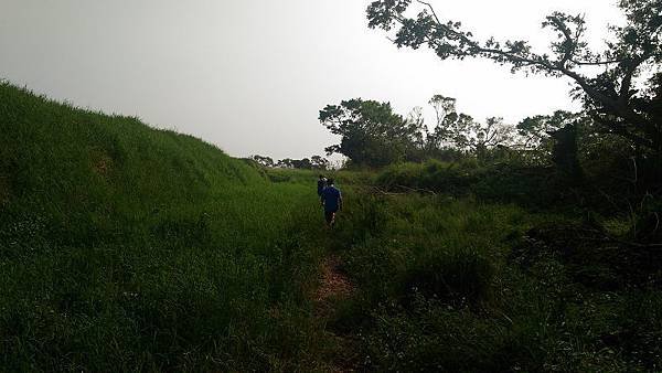 P_20161016_144519.jpg