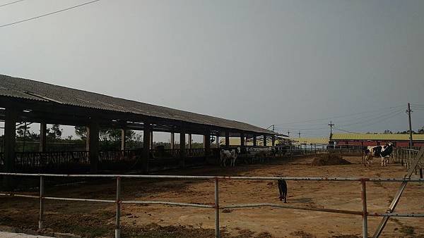 P_20161016_144757.jpg