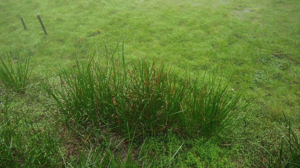 P_20170506_141432.jpg