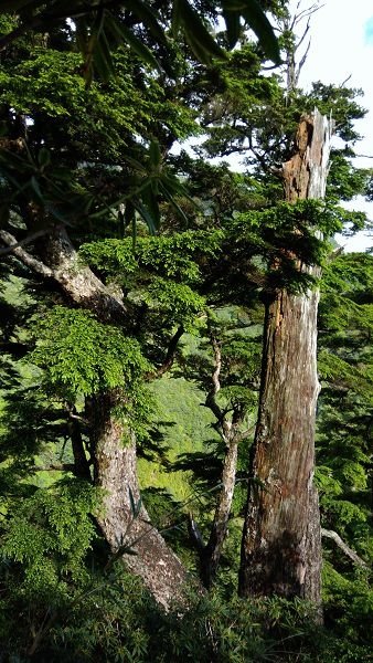 P_20170529_073848.jpg