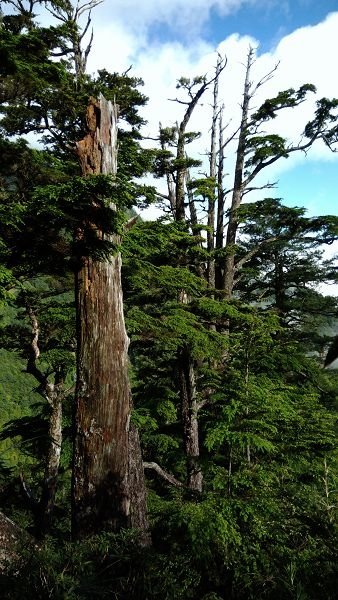 P_20170529_073851.jpg