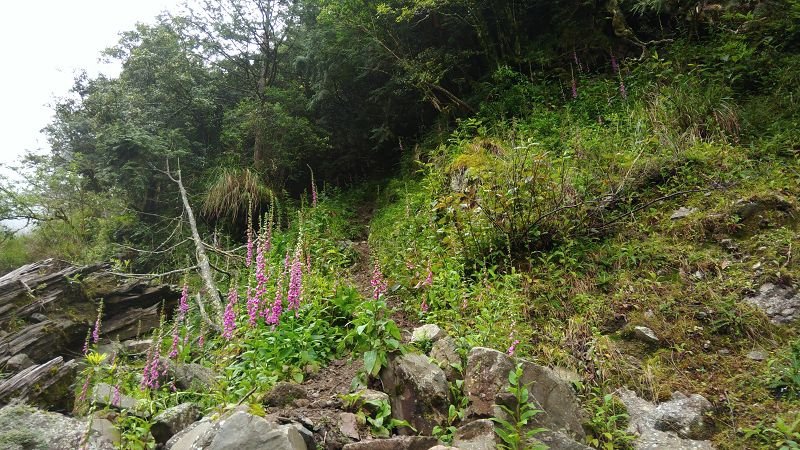 P_20170529_080947.jpg