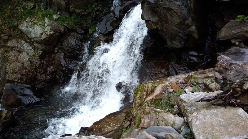 P_20170529_083548.jpg