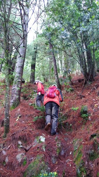 P_20170529_100724.jpg