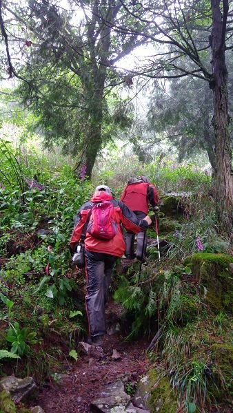P_20170529_101224.jpg