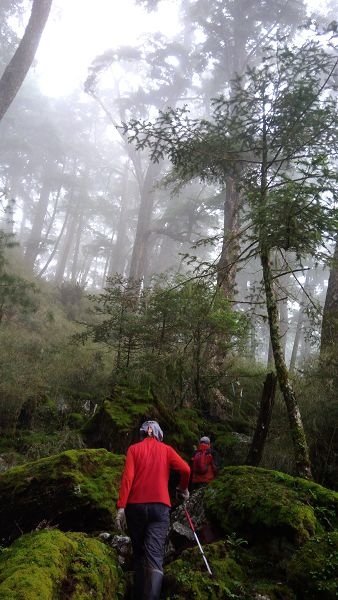 P_20170529_103922.jpg