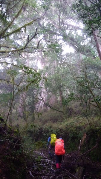 P_20171203_090919.jpg