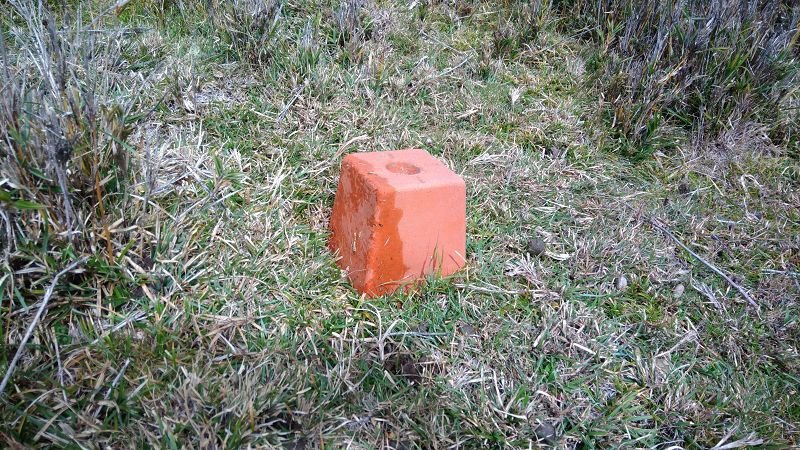 P_20171203_111052.jpg