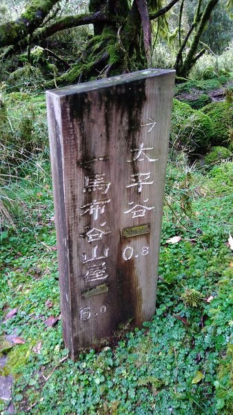 P_20171203_123009.jpg